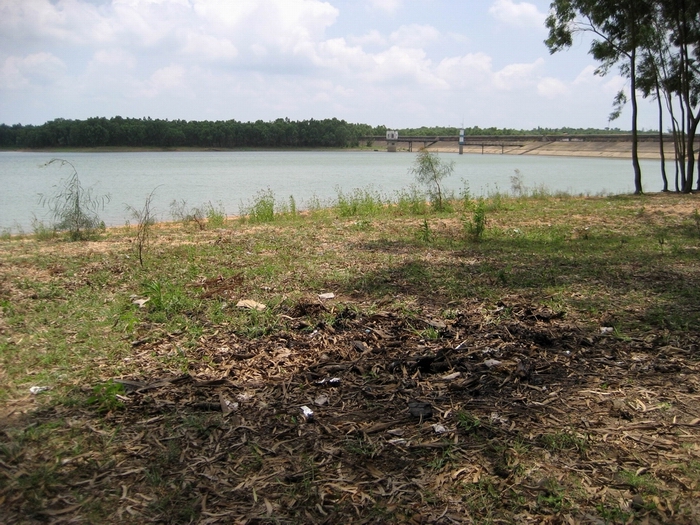 公益合浦绿色周末--清洁清水江活动总结-民间