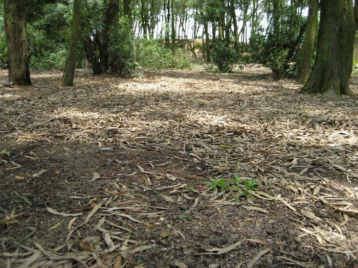 公益合浦绿色周末--清洁清水江活动总结-民间