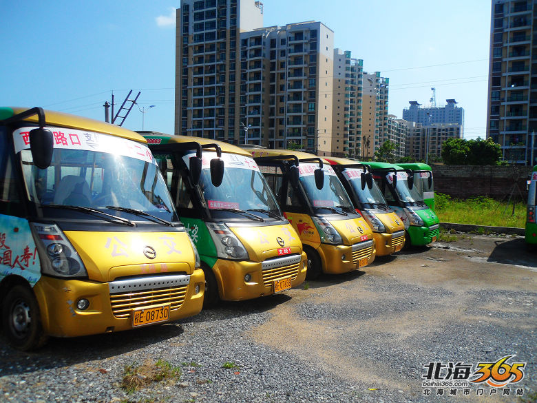 城市公交市场调研的内容