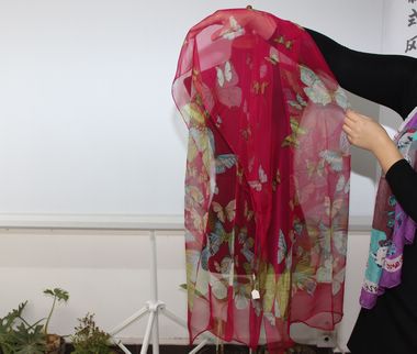 各种丝巾的系法步骤演示(二)-败家mm集中营-北