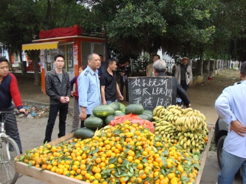 当街头摊贩与城管队员抢起水果三轮车