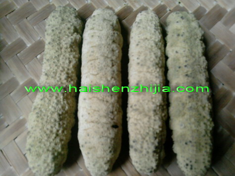 涠洲岛资讯-美食海参区-北海365网(beihai365.帝王蟹v资讯保存可以吗图片