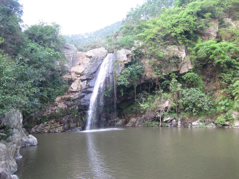 9酒茶1登马子嶂偶遇山蚂蟥血腥之旅