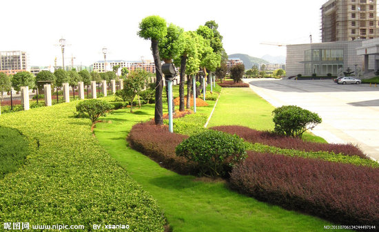 广西北海环美园林绿化有限公司:园林绿化工程