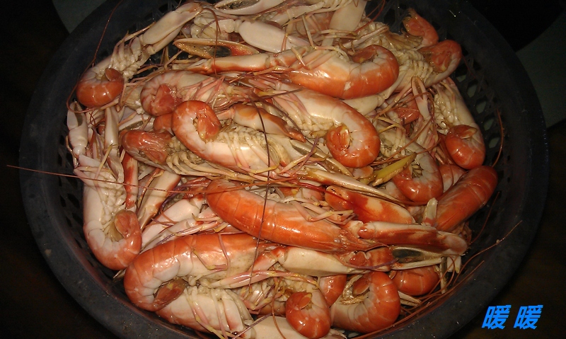 白灼狗虾  