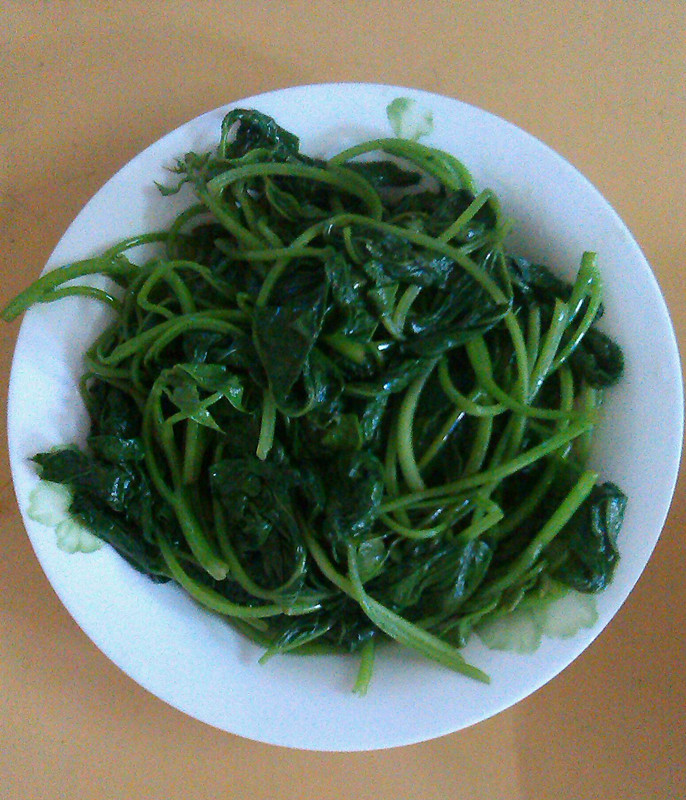 2013-6-7 简单的早中餐-私房菜-北海365网(bei