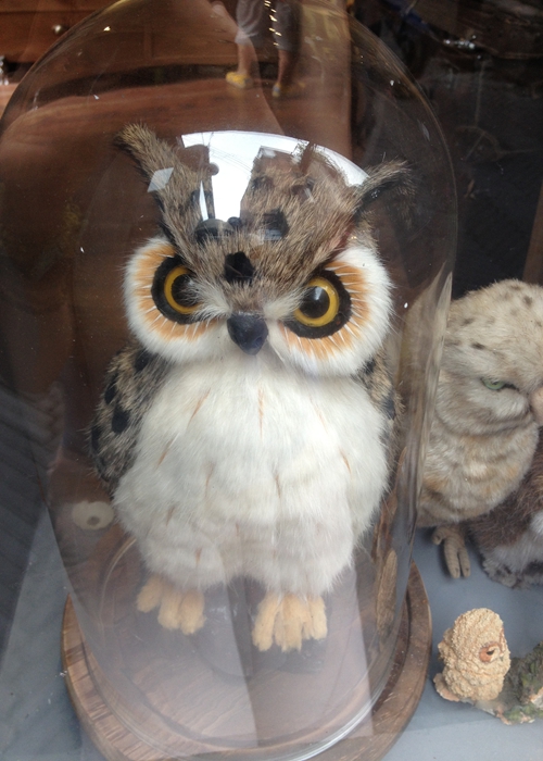 《 有些事,现在不做,一辈子都不会做了 》--魔都