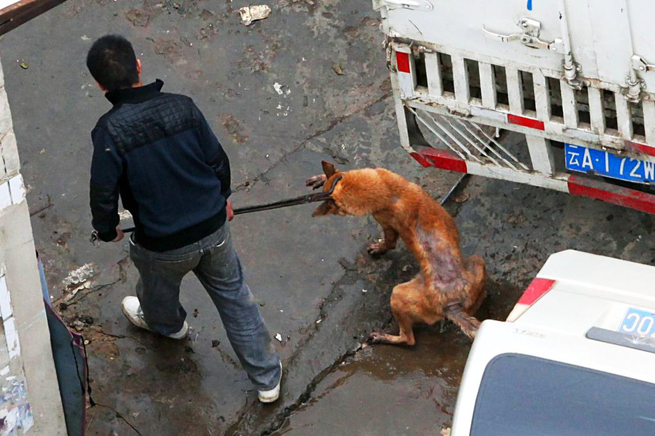 揭秘民警擒获半坡吸毒者时使用的神器警用钢