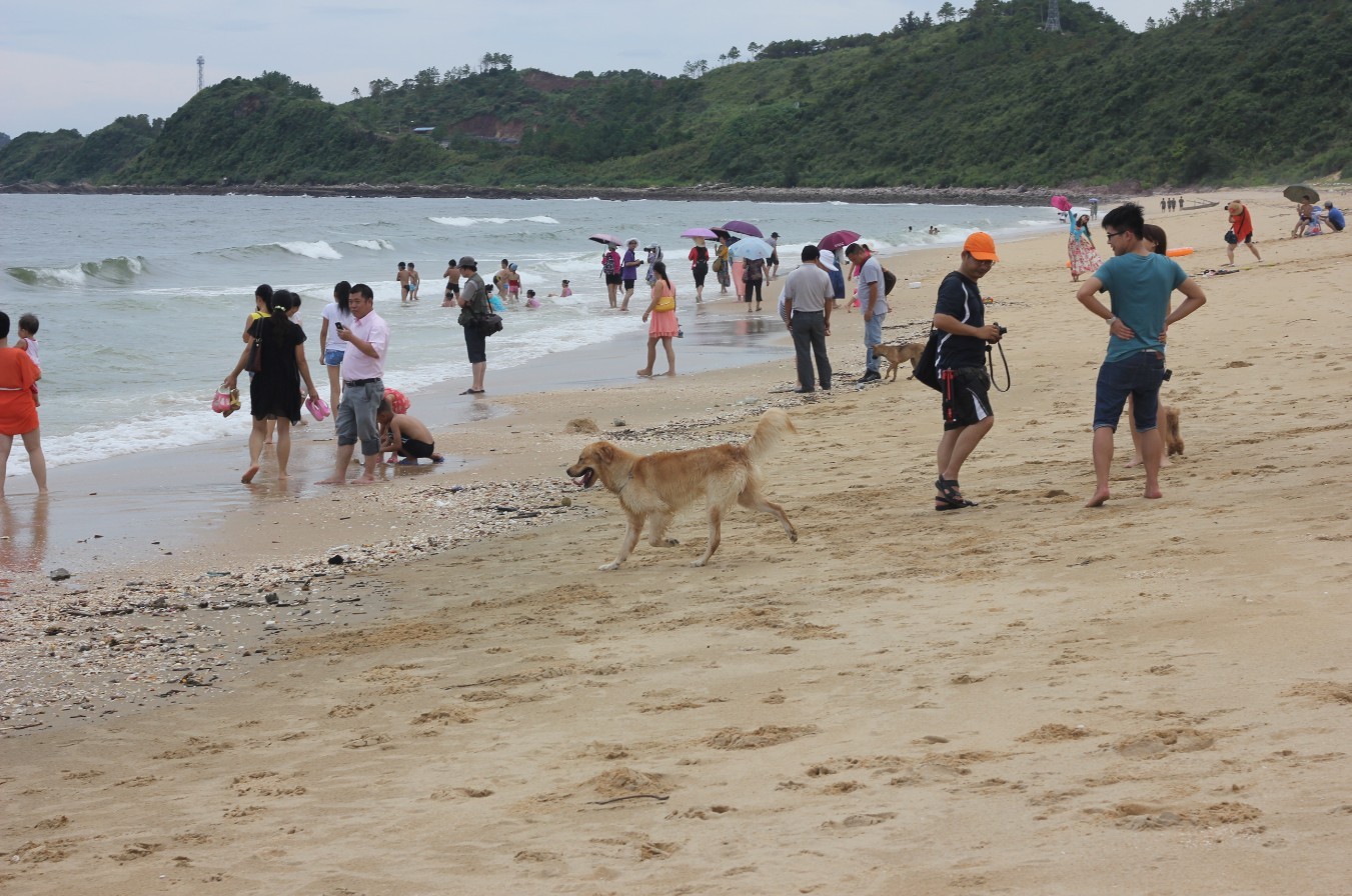 银滩海鲜大排档_北海银滩_兰州银滩黄河大桥(3)