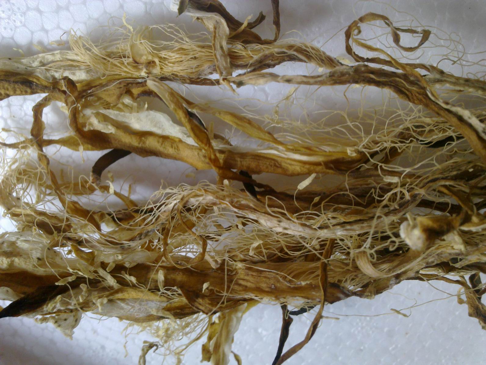 卖纯阳光晒的霸王花干啦-休闲食品-北海365网