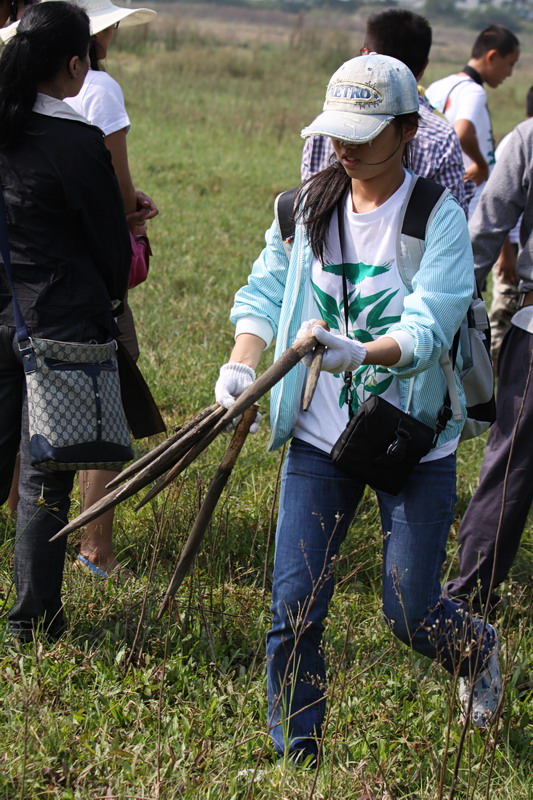 【紧急招募】人人都是志愿者--为鸟儿迁徙开辟