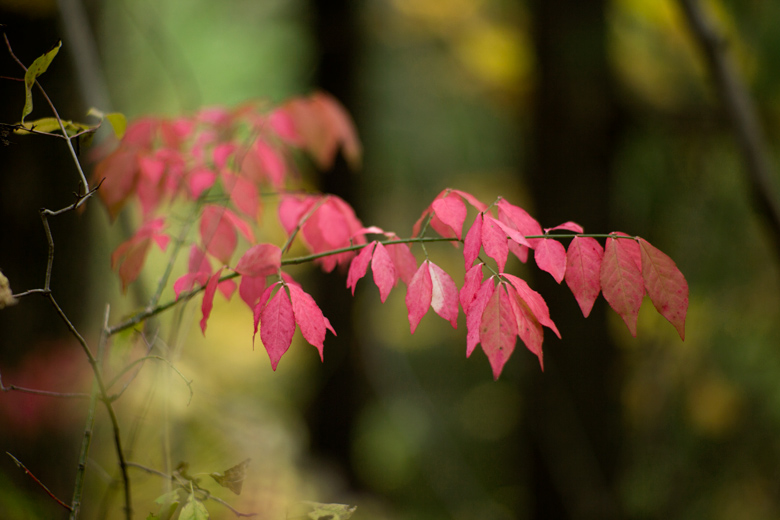 好山好水好寂寞。加美游走的记忆-游山玩水-北