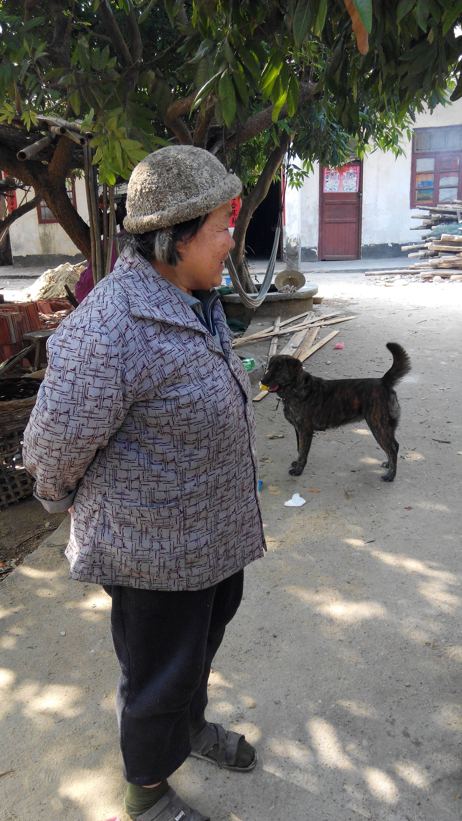 【总结JL+ZX@20131229石康】志愿者去智障