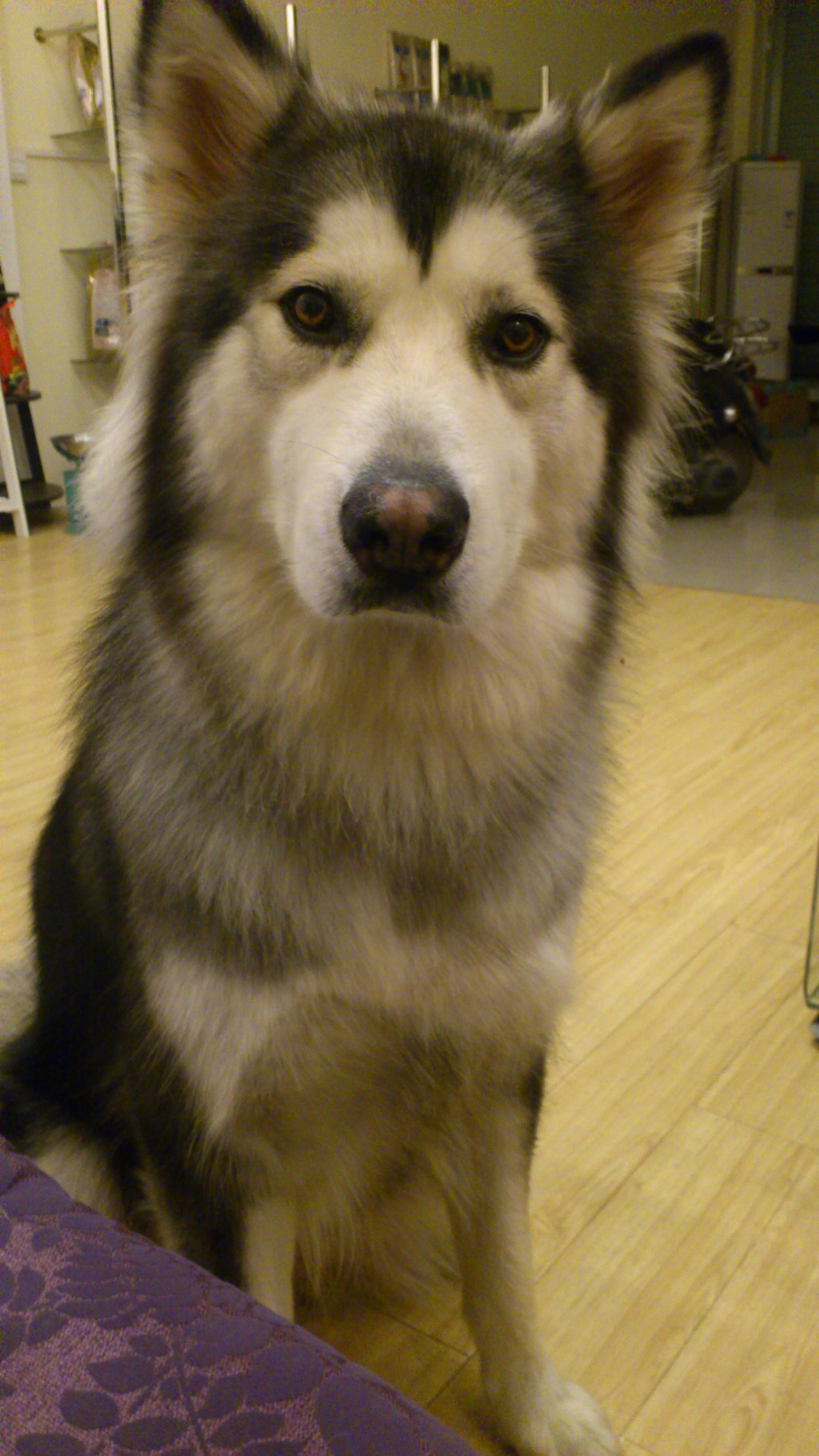 ==☆●Rose定居北海之【我屌丝的生活】●☆