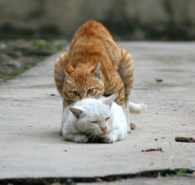 同是天涯沦落人,相逢何必曾相识 90后女孩征