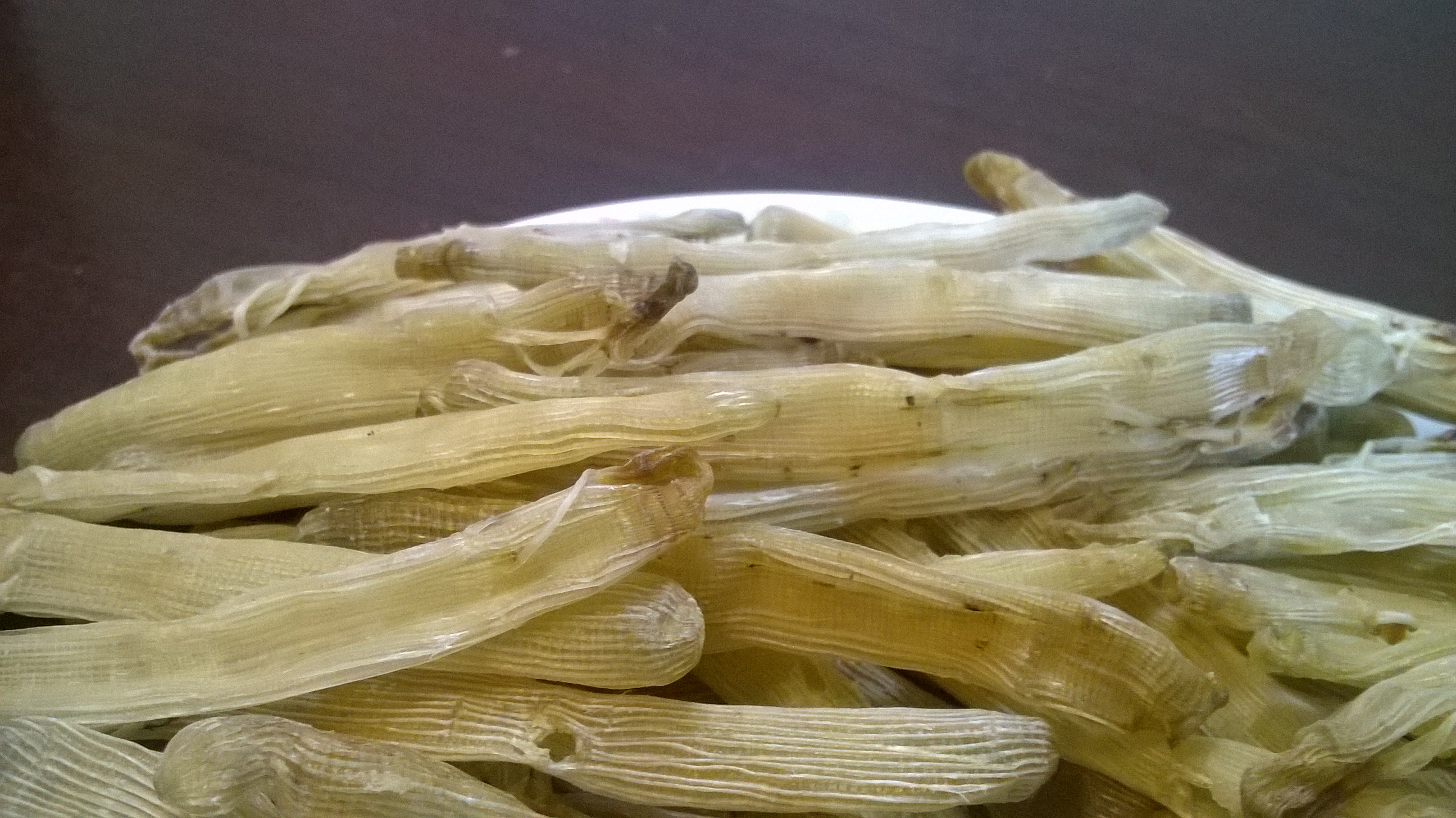 私人卖家低价出售沙虫,400元\/500克,可讲价-其他闲置转让-北海365网(beihai365.com)