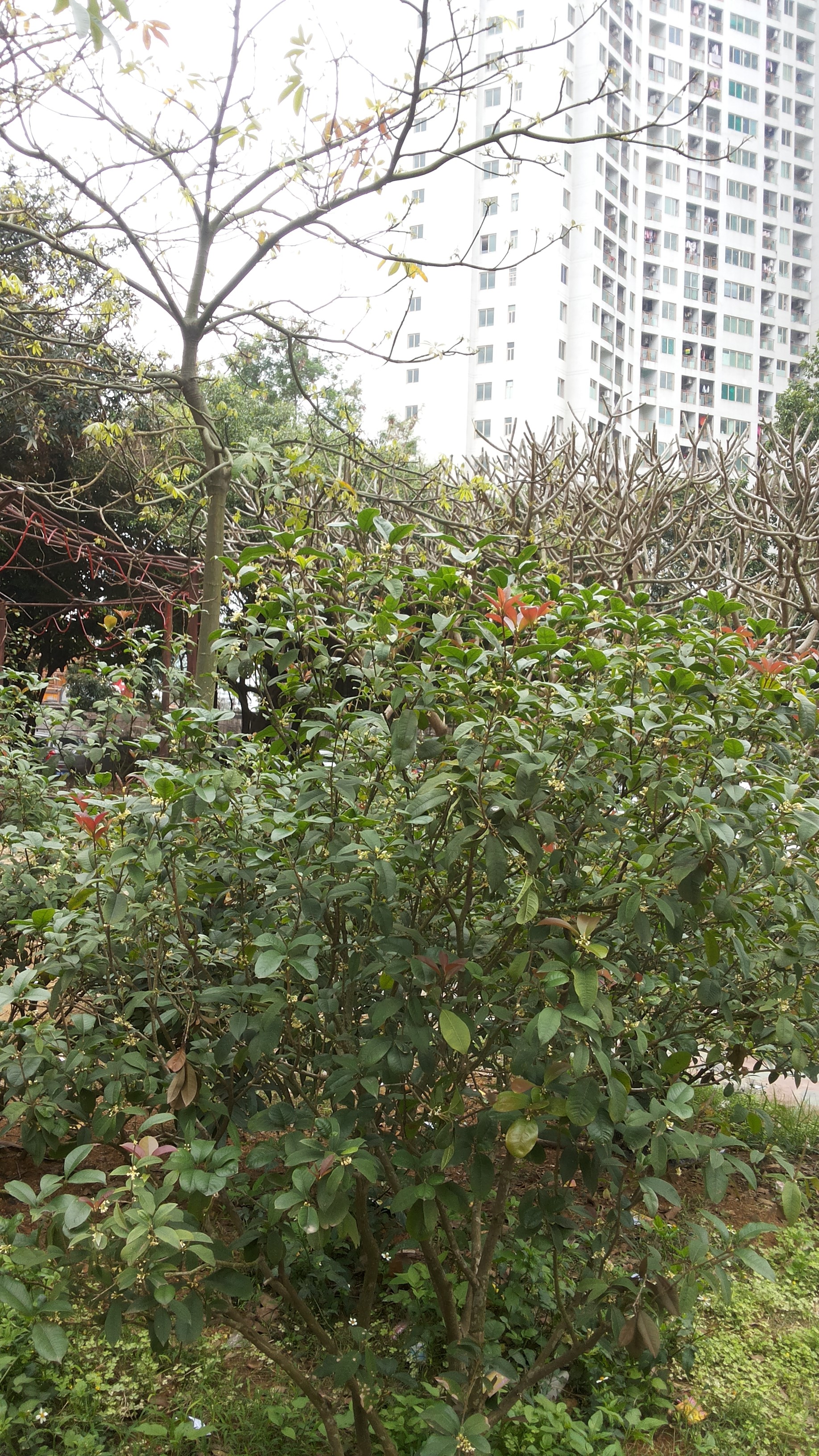 市中心精装修三房两厅带家具出租,价格面议【