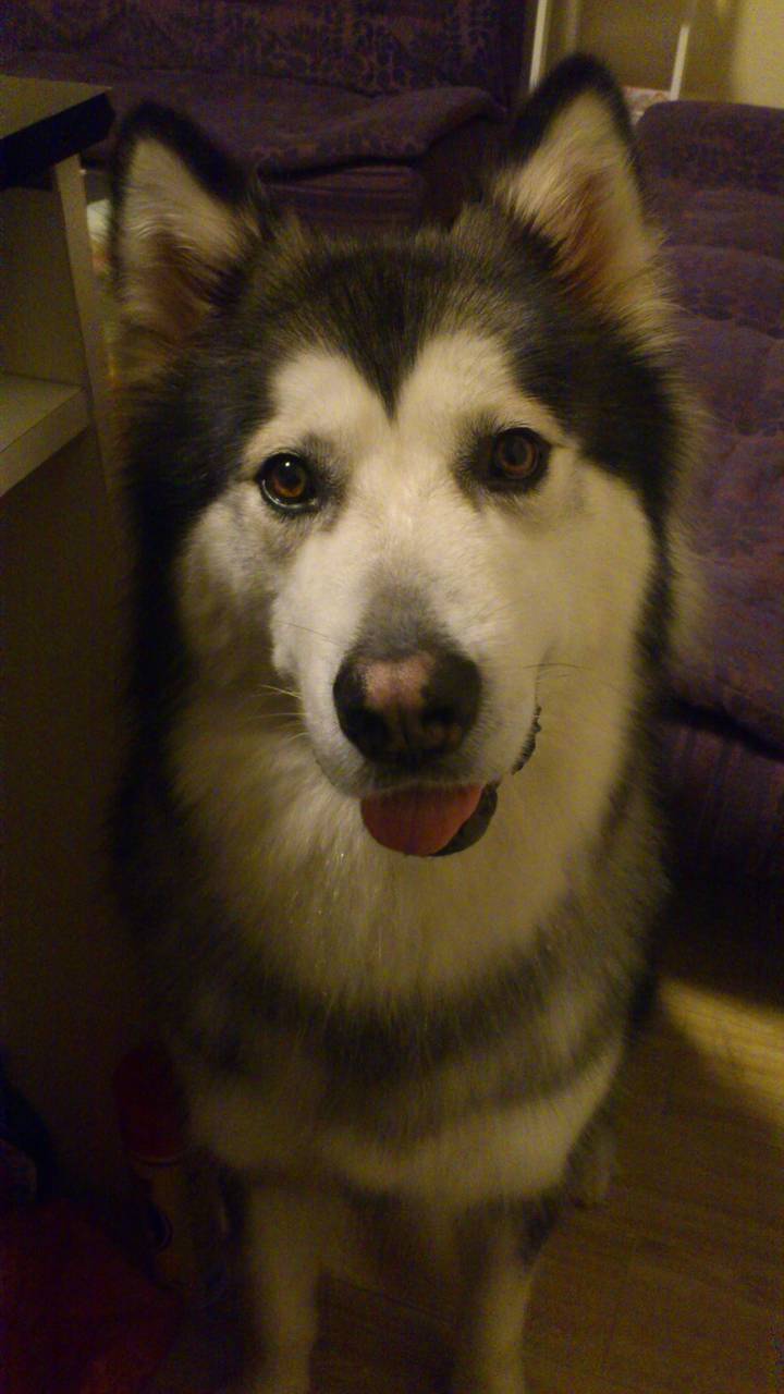 ==☆●Rose定居北海之【生活各种杂碎】●☆