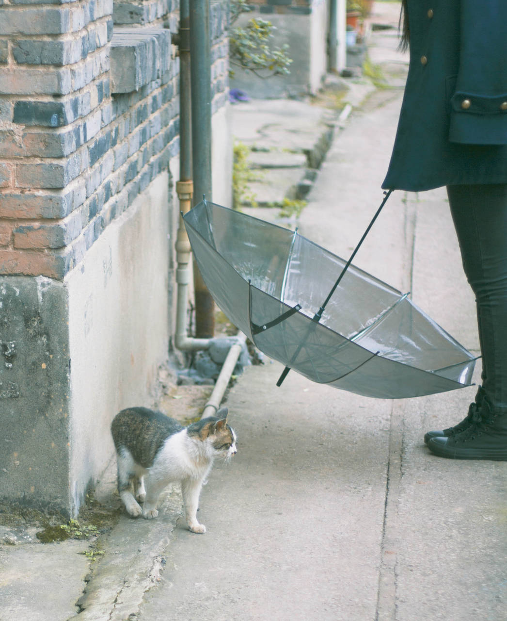 #等雨停了,我就去找你#-摄影\/摄像-北海365网(