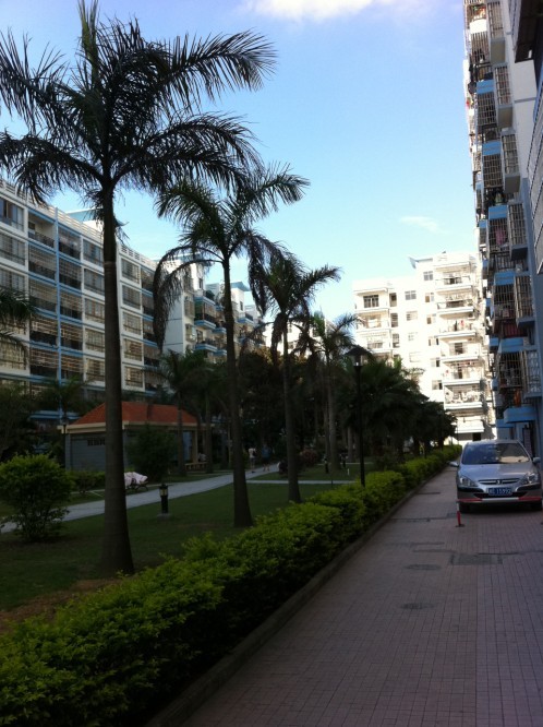 黄金路段公园路,京都花园阳光公寓,30平方,一房