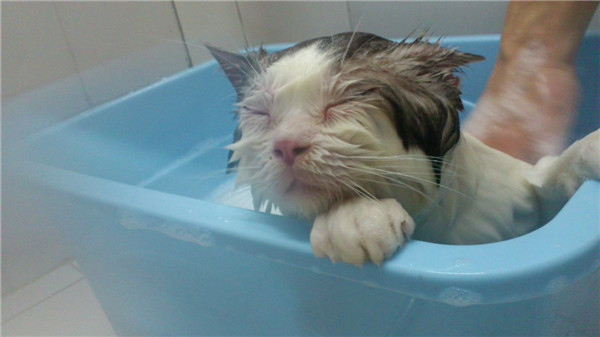 ==☆●Rose定居北海之【生活各种杂碎】●☆