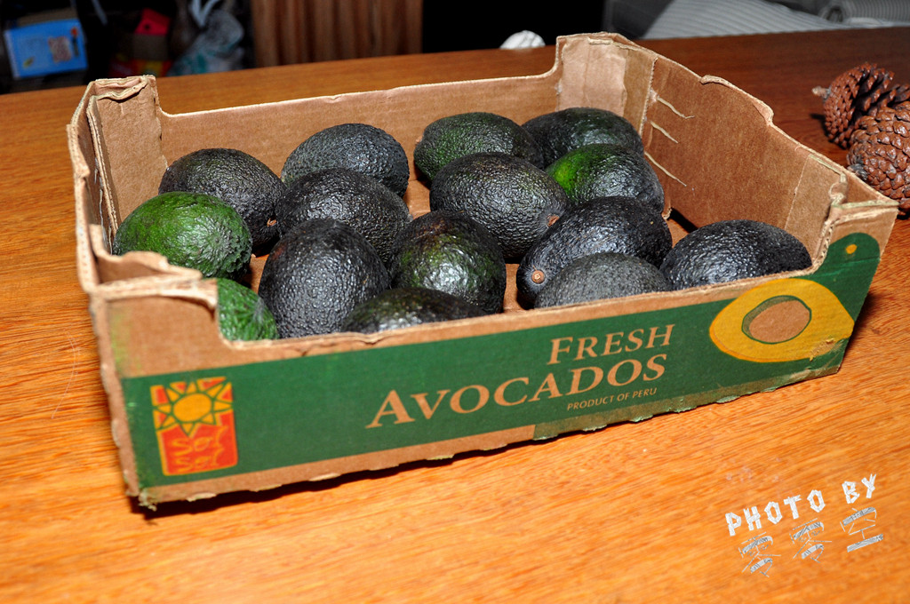 【新店】樱花茶、牛油果奶昔、手冲咖啡全是北