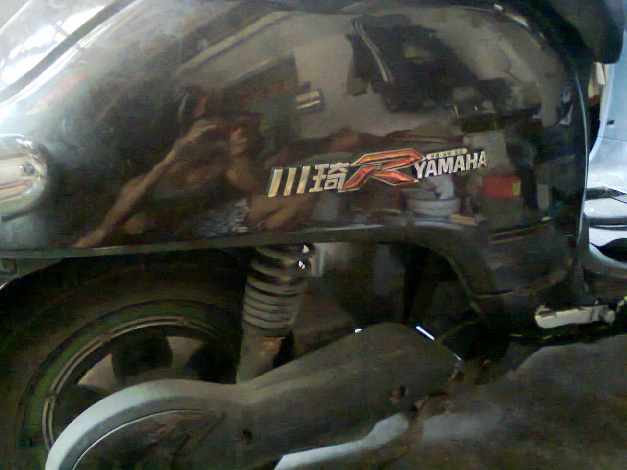 转已用半年的小龟电动车,已上牌-摩托车\/电动车