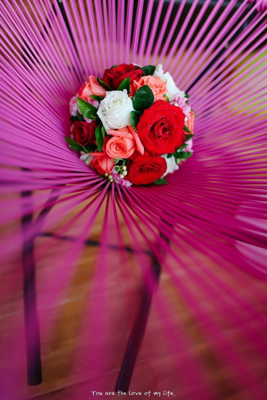 婚礼纪实【你比自己更重要】(分享一组好友的