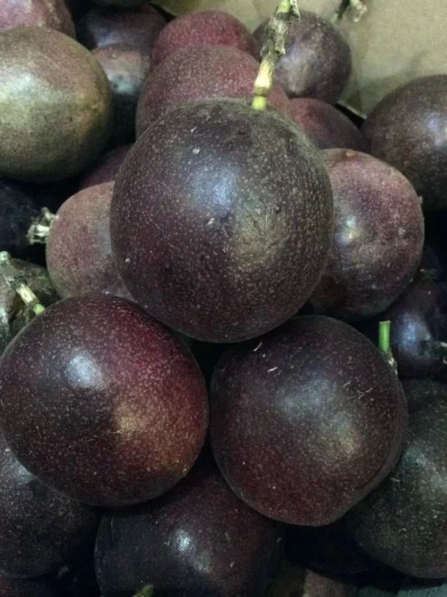 自己家果园种植,原生态百香果!性价比第一 远离