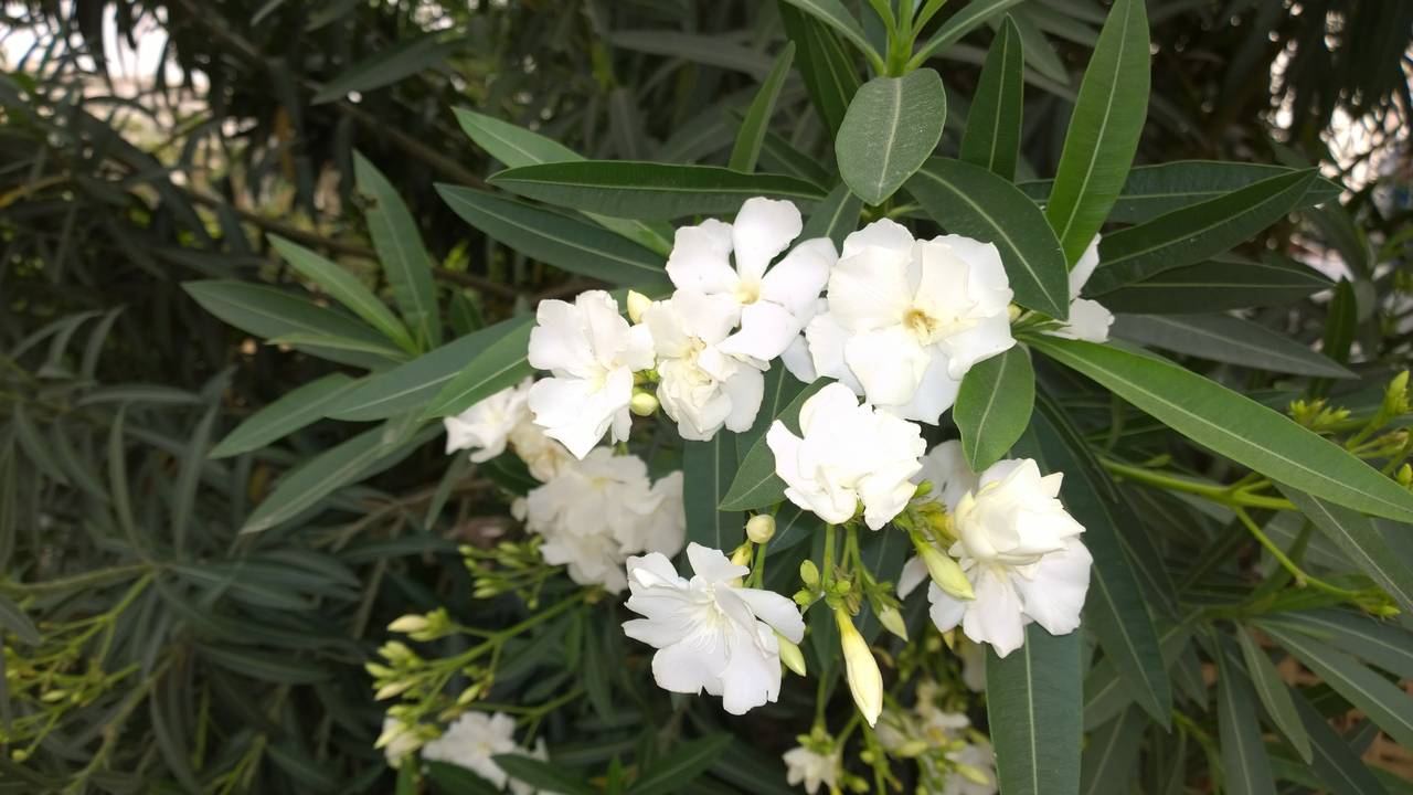 春暖花开骑车去