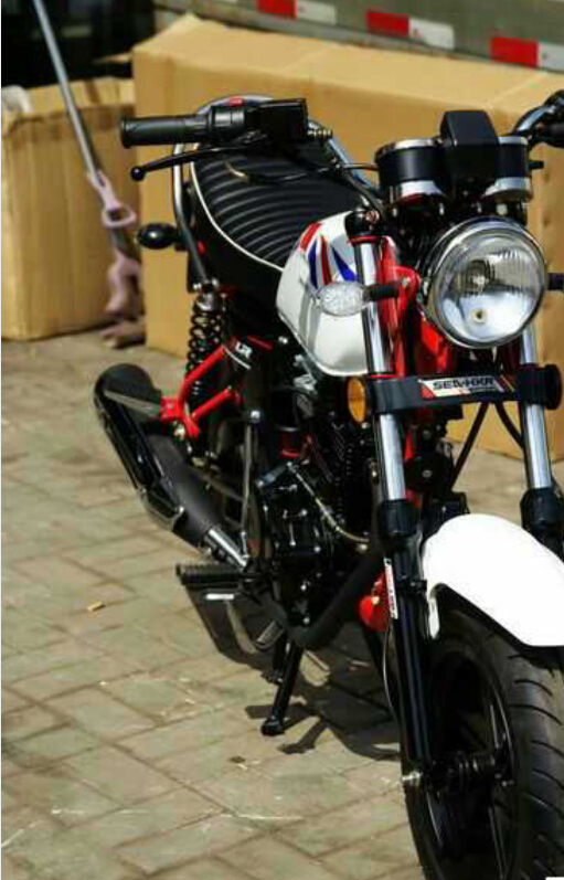 全新可以上牌的大狒狒-摩托车\/电动车-北海365