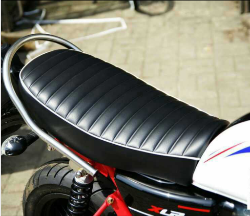 全新可以上牌的大狒狒-摩托车\/电动车-北海365