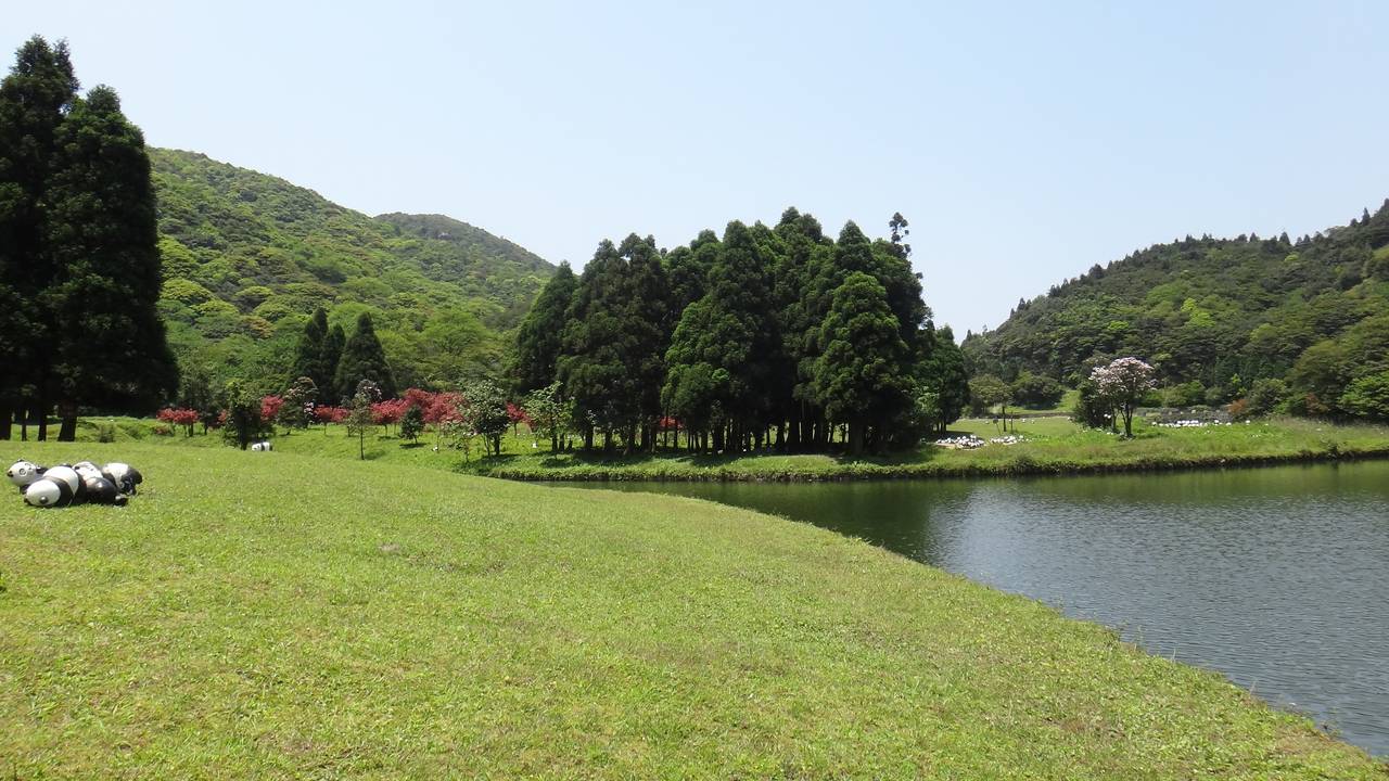 国庆北流大容山露营记,露营最好的地方