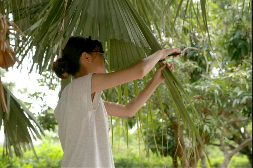 【总结20150614】敬老活动--龙潭下村敬老院