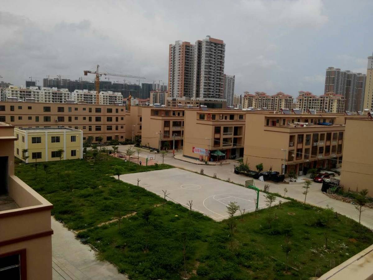 广东南路与杭州路附近私人楼房出租-房屋出租