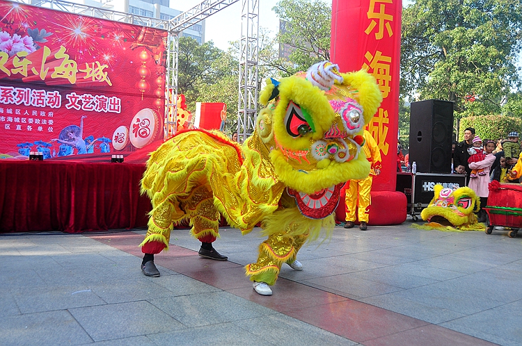 舞狮表演是很有南方特色的节目,北方是从来不会有这样的活动