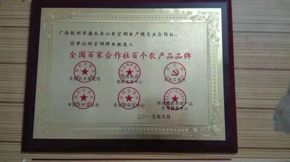 正宗浦北官垌牌官垌鱼-美食资讯区-北海365大众大邑美食图片