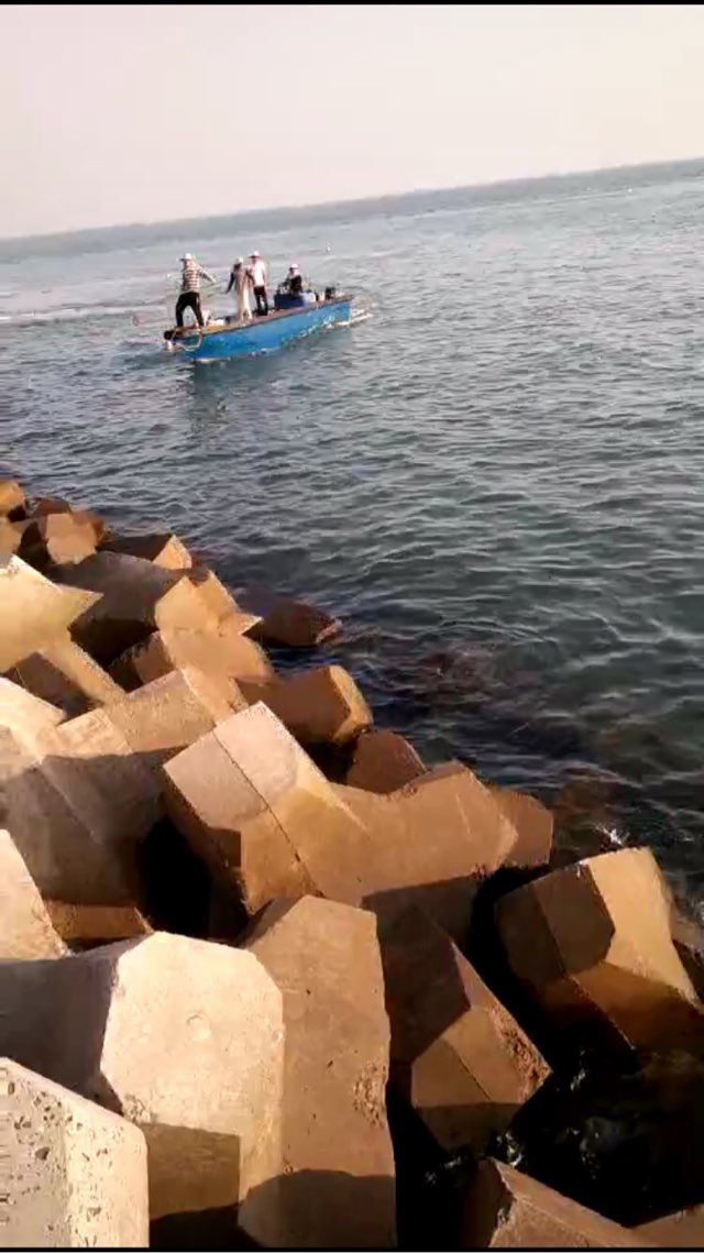 LNG码头海域惊现断子绝孙式毒鱼,视频疯传钓