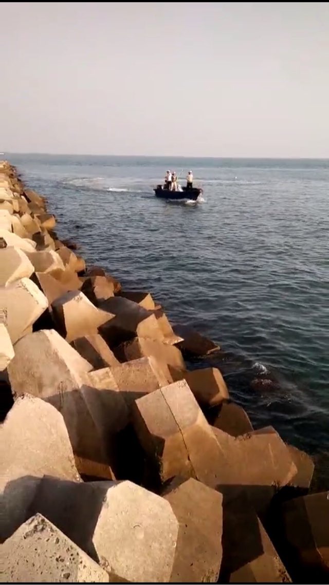 LNG码头海域惊现断子绝孙式毒鱼,视频疯传钓
