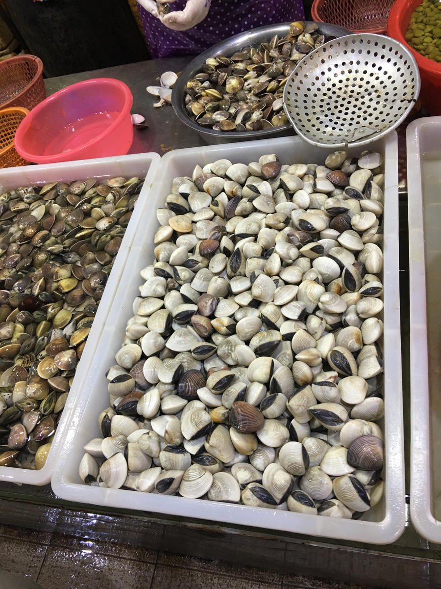 临近开海,南珠市场花蟹升到75/斤,花甲螺跌了近一半