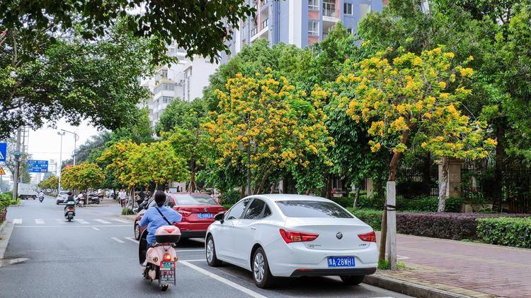 2019北海经济数据_快讯 一季度北海经济数据(2)