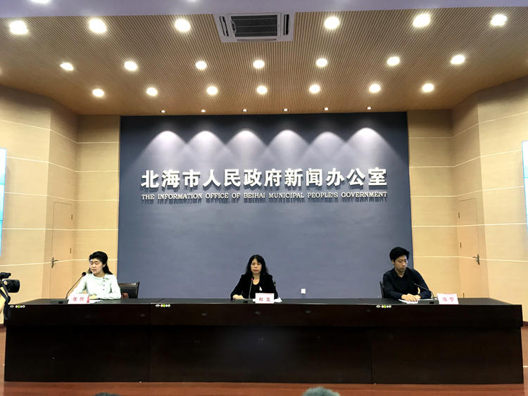 2019北海经济数据_快讯 一季度北海经济数据