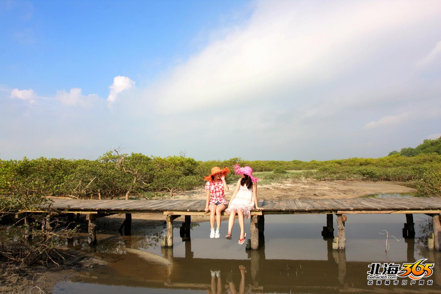 北海历年来的经济总量_滨州北海经济开发区