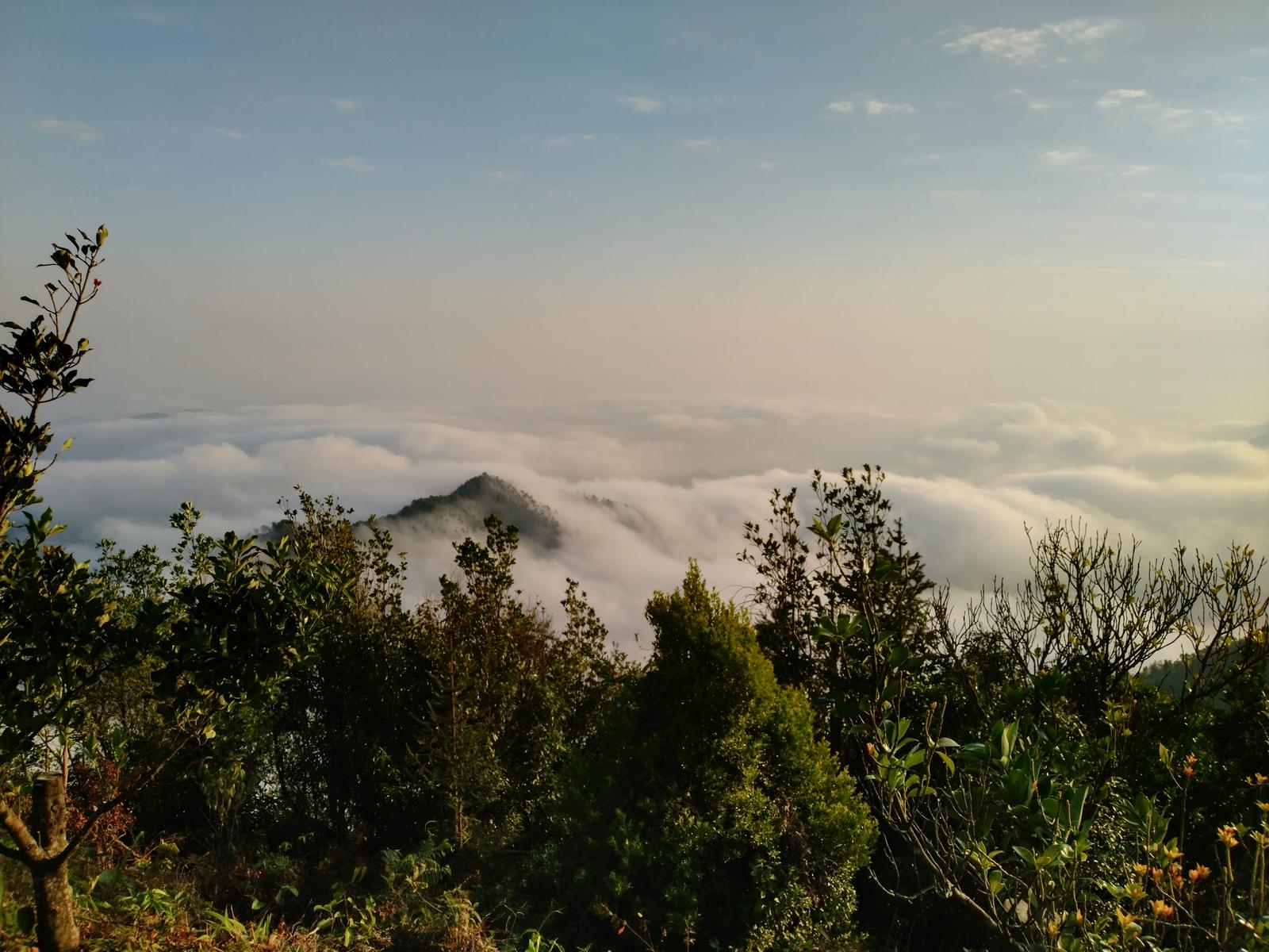 六万大山森林公园露营赏云海