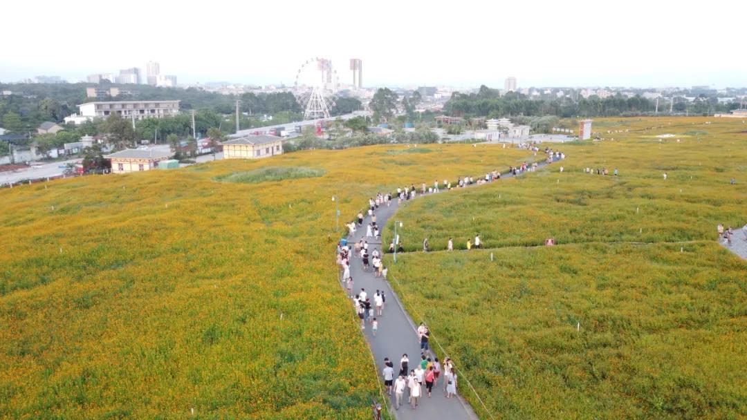 串联文昌塔,四方岭,合浦海丝文化遗址公园正式向公众