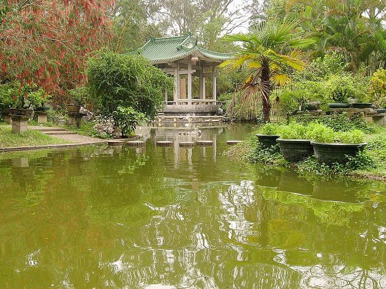 公园升级改造,北海人建议:收门票、做天桥、立