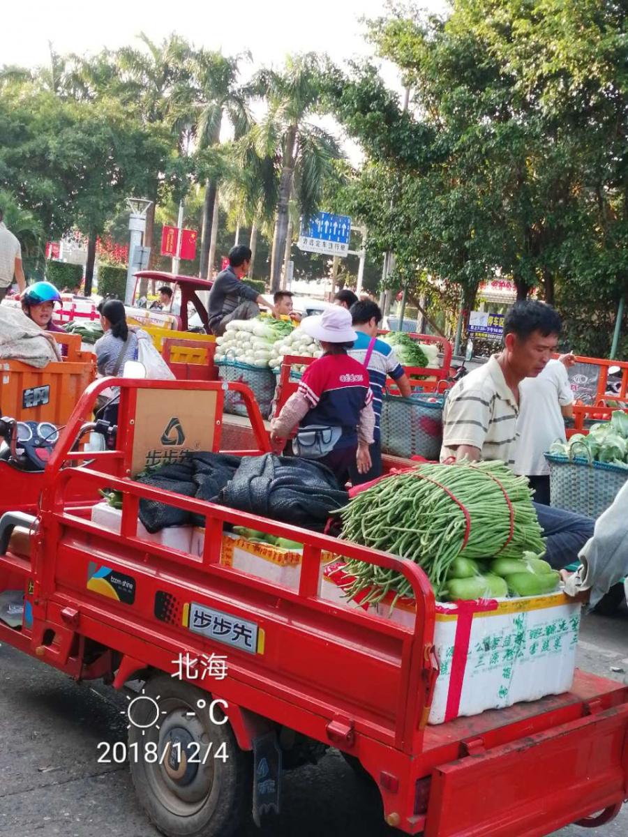 北海市金葵市场农产品交易的繁华景象