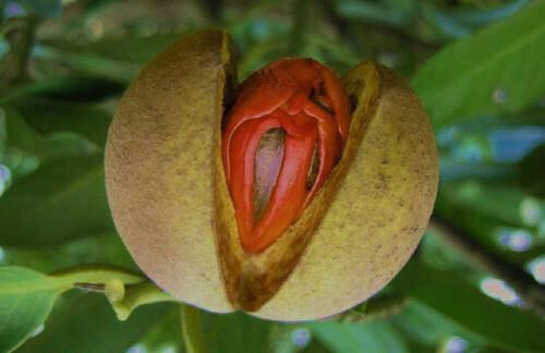 话说北海男人与东北男人厨艺