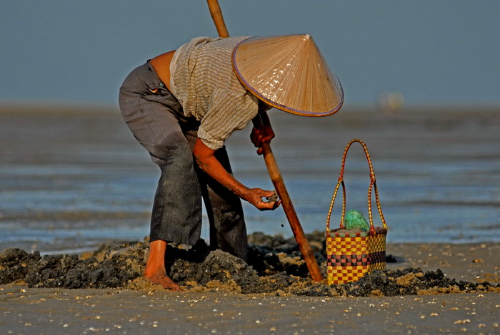 [交行杯]挖沙虫,赶海挖沙虫的渔民是海滩上一道特殊风景线(感谢网友