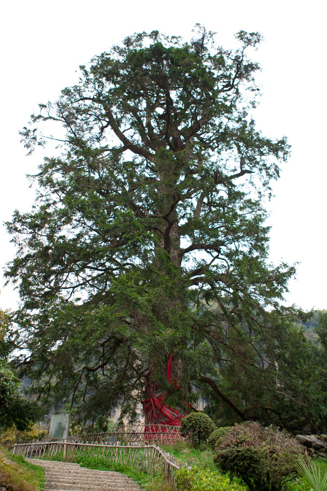 湖北 深秋神农架